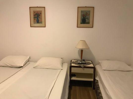 Ocna de SusEngi Panzio住宿加早餐旅馆 外观 照片