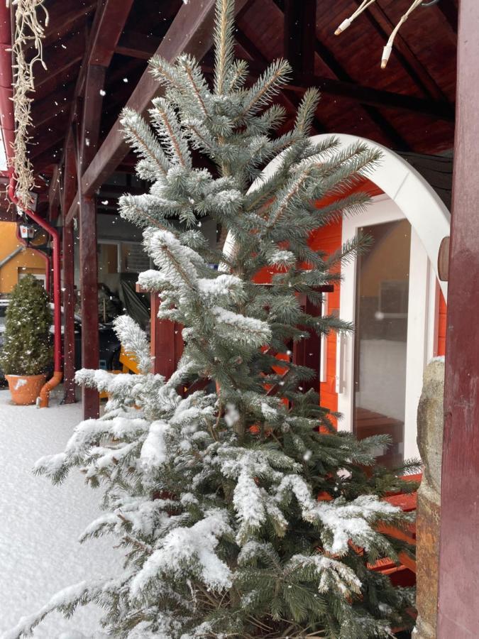 Ocna de SusEngi Panzio住宿加早餐旅馆 外观 照片